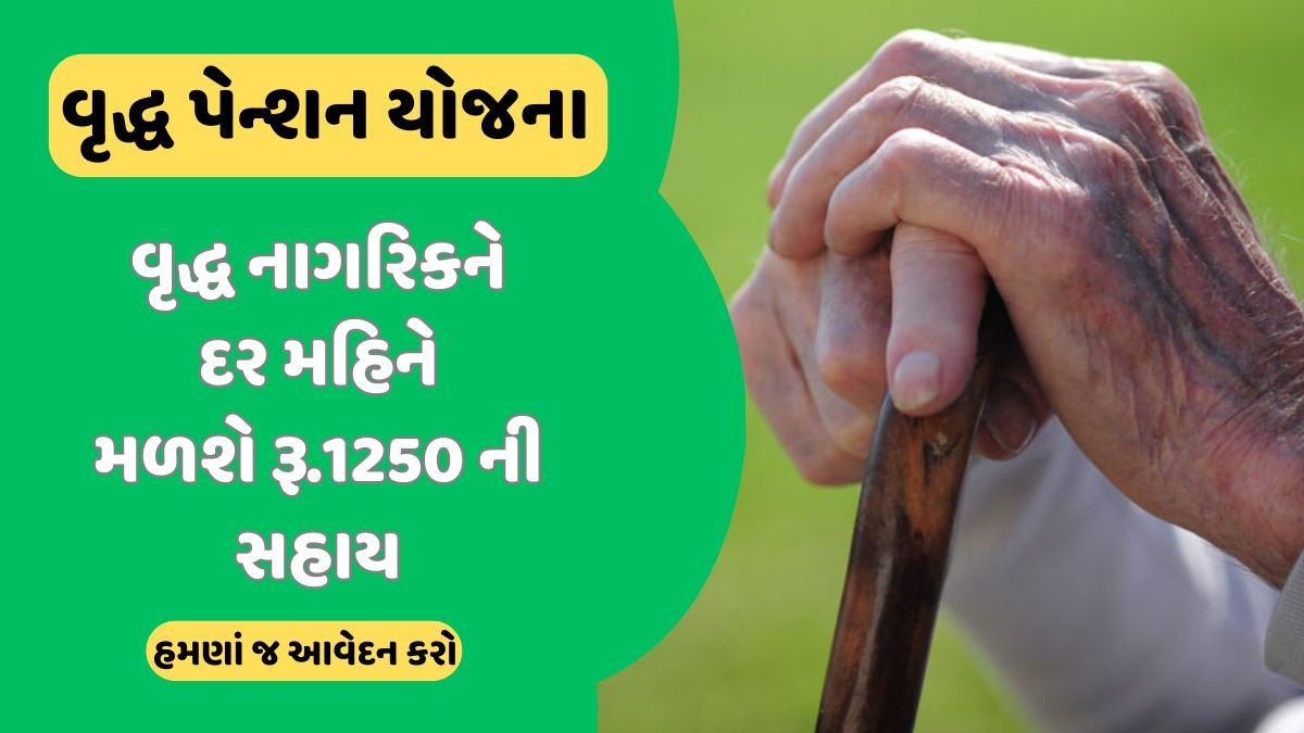 Vridha Pension Yojana 2024